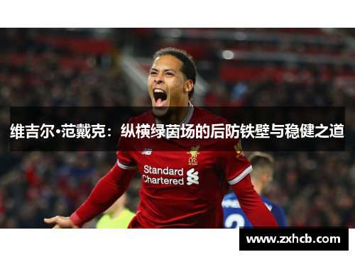 维吉尔·范戴克：纵横绿茵场的后防铁壁与稳健之道